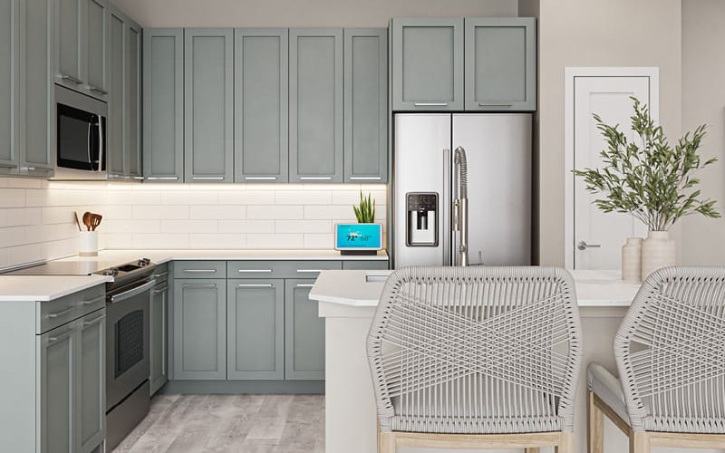 Timberlake Orlando Matttroy